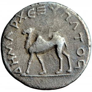 Římská říše, Traján (98-117), drachma 114-117, Arabia Petraea, Bostra
