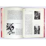 KOTULA Adam, KRAKOWSKI Piotr - Chronicle of the new art 1855-1960. krakow 1966. Wydawnictwo Literackie. 8, s. 283, [4]...