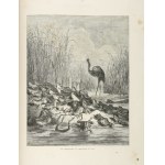 La Fontaine. Fables with illustrations by Gustave Doré - published Paris 1868.