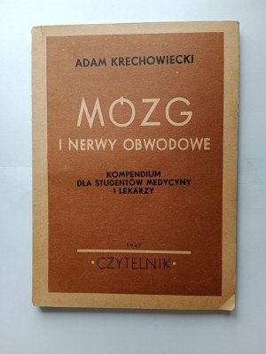 ADAM KRECHOWIECKI, MÓZG I NERWY OBWODOWE