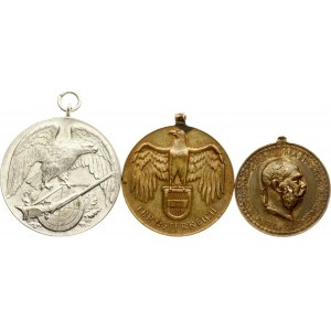 Austria Lot of 3 Medals (1914-1929)