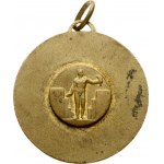 France Medal City of Havre (Le Havre) 20th Cent.