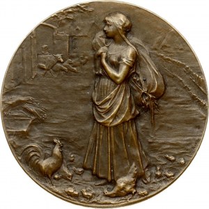 Medal ND Agricultural Society of Joigny Yonne