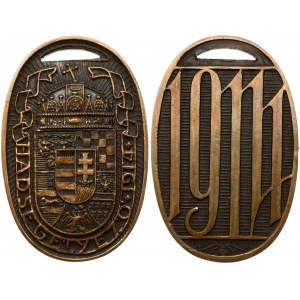 Hungary Badge 1914