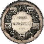 Latvia Dobele Agricultural Society Prize Medal NGC UNC DETAILS