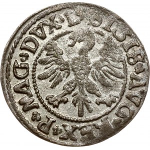 Lithuania Polgrosz 1546 Vilnius (R3)