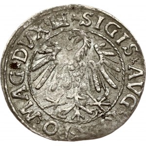 Lithuania Polgrosz 1546 Vilnius (R3)