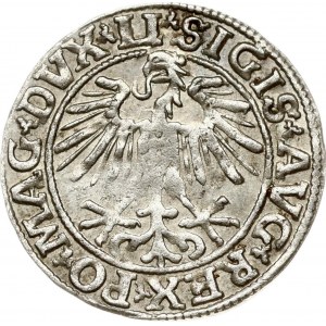 Lithuania Polgrosz 1551 Vilnius (R1)