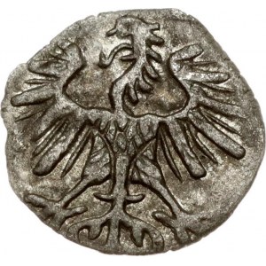 Lithuania Denar 1554 Vilnius (R)