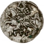 Lithuania Denar 1555 Vilnius (R)