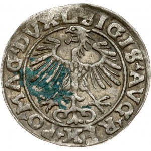 Lithuania Polgrosz 1555 Vilnius (R1)
