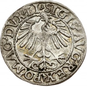 Lithuania Polgrosz 1557 Vilnius