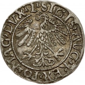 Lithuania Polgrosz 1558 Vilnius