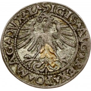 Lithuania Polgrosz 1563 Vilnius (R) L/LITV