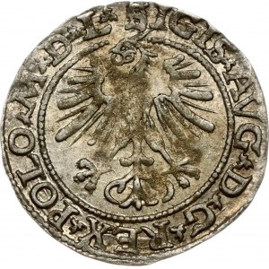 Lithuania Polgrosz 1564 Vilnius