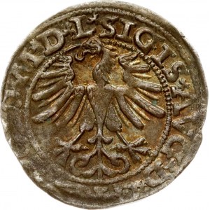 Lituanie Polgrosz 1565 Vilnius