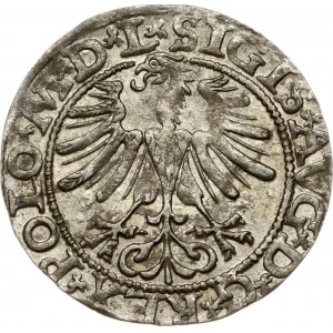 Lithuania Polgrosz 1565 Vilnius