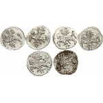 Lithuania Dwudenar (1567-1579) Lot of 6 coins