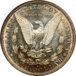 USA Morgan Dollar 1882 S NGC MS 64