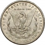 USA Morgan Dollar 1900