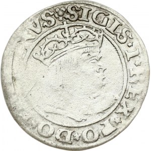 Poland Grosz 1530 Torun