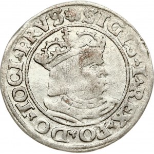 Poland Grosz 1530 Torun