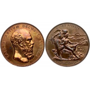 Medal 1896 50th Anniversary of Finnish Society of Arts
