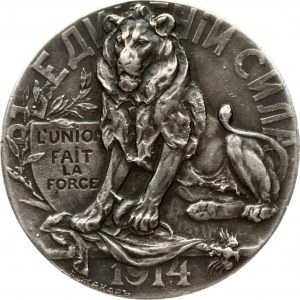 Russia Medal 1914 in honor of the Belgian people (R1)