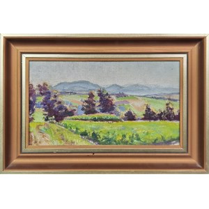 Czesław WIERUSZ-KOWALSKI (1882-1984), Podgórze-Landschaft