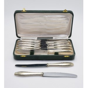 Set of knives in a case - 12 pcs.