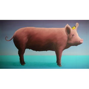 Campio, Sea bacon, 2018