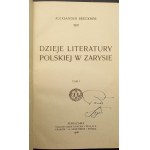 Aleksander Bruckner Dzieje literatury polskiej w zarysie I. zväzok Rok 1908