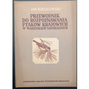 Jan Sokołowski Przewodnik do rozpoznawania ptaków krajowych w warunkach naturalnych