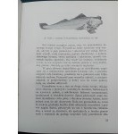 Michał Siedlecki Poklady vod Obrázky z pobřežních oblastí 123 ilustrací v textu