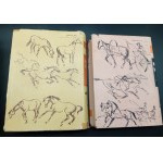 Witold Pruski, Jan Grabowski, Stanislaw Schuch Horse Breeding Volume I-II