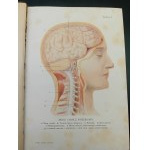Pohotovostní lékař I.-II. díl a příloha Album anatomických modelů pro pitvu muže a ženy