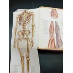 Lekarz ratujący zdrowie Tom I-II oraz dodatek Album modeli anatomicznych do rozkładania męskich i kobiecych