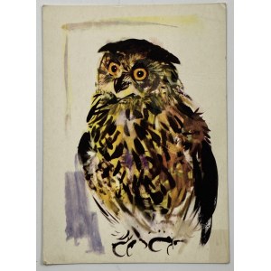 Owl postcard Janusz Grabiański