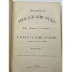 Biegeleisen Henryk, Illustrierte Geschichte der polnischen Literatur. Bände I-V [vollständig].