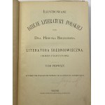 Biegeleisen Henryk, Illustrierte Geschichte der polnischen Literatur. Bände I-V [vollständig].