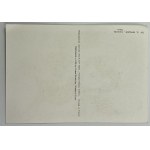 [Karta pocztowa] Braque Georges - Colombe dove, reprodukcja.