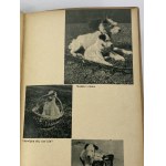 Czapek Karol, Daszeńka czyli żywot szczeniaka dla dzieci napisał, zilustrował, sfotografował i na własnej skórze doświadczył Karol Czapek