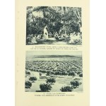 [Umschlag von Tadeusz Gronowski] Welt in Bildern Nr. 2. Oktober 1931 Reihe Europa in Bildern. Internationale Kolonialausstellung in Paris