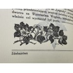 [Wyspiański] Smolik Przecław, Buchschmuck im Werk von Wyspiański