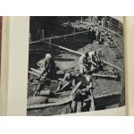 Jasienica Pawel, Slavic Ancestry [1st edition][Half-shell].