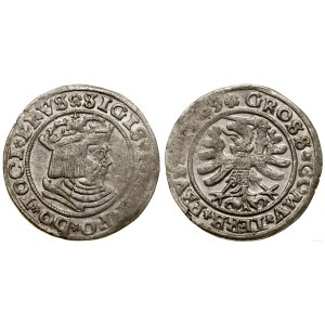 Polsko, Penny, 1529, Toruň