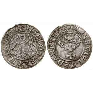 Poľsko, šiling, 1551, Gdansk