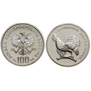 Polen, 100 Zloty, 1980, Warschau