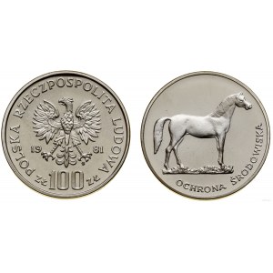 Polen, 100 Zloty, 1981, Warschau