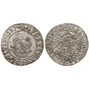 Herzogliches Preußen (1525-1657), Pfennig, 1537, Königsberg